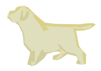 щенок лабрадора
