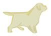 щенок лабрадора