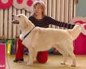 ������ ��������