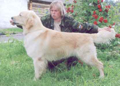 ������� ����������