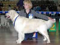 ������ ��������