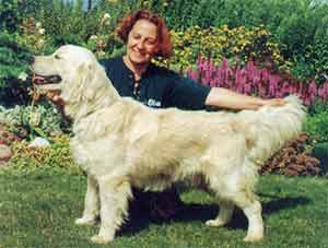 ������ ��������