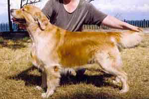 ������ �������� ������