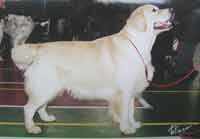 ������ ��������