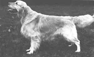  ������ ��������